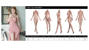 Hedy Sex Doll (Starpery 174cm C-Cup TPE+σιλικόνη)