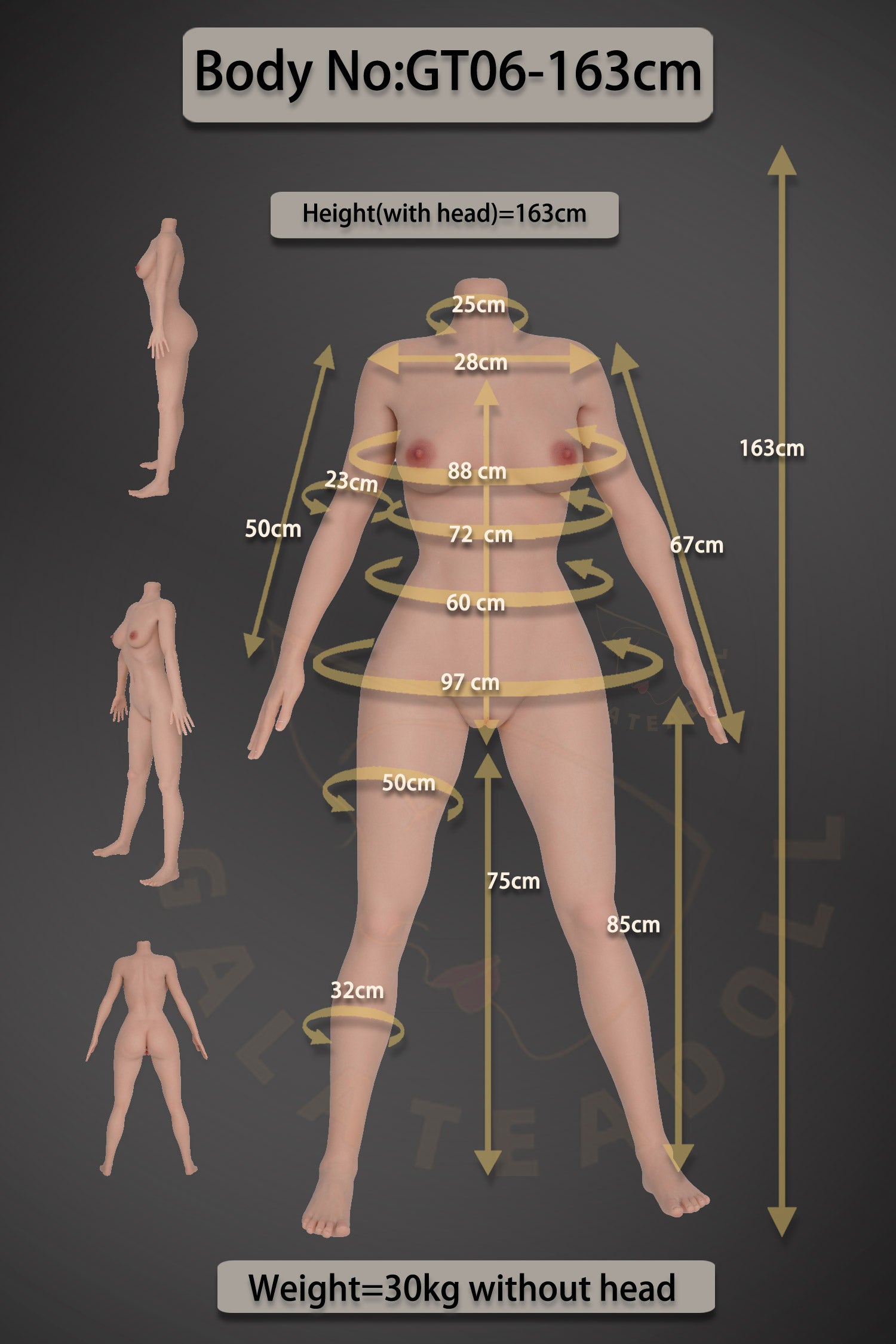 κούκλα σεξ Samira (Galatea Doll 163cm D-Cup #198 Σιλικόνη)