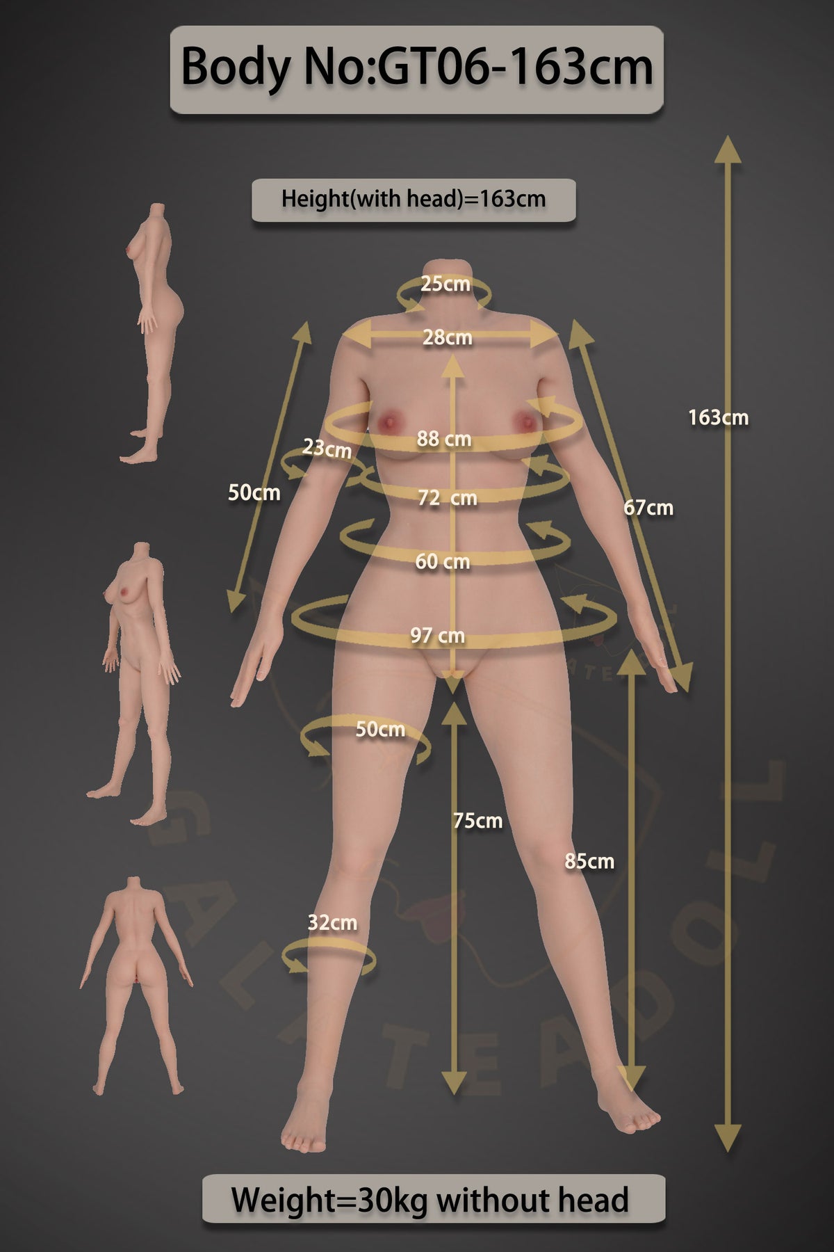 Amanda Sex doll (Galatea Doll 163cm D-cup #135 silicone)