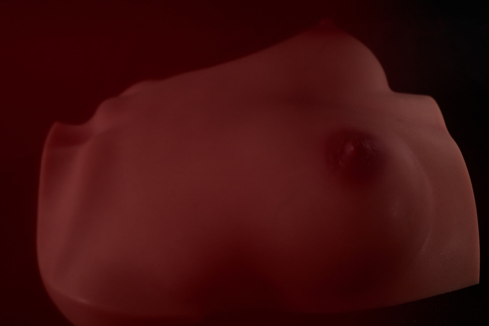 Στήθη (ες) κούκλα σεξουαλικής κούκλας (Climax Doll Pro b-cup σιλικόνη)