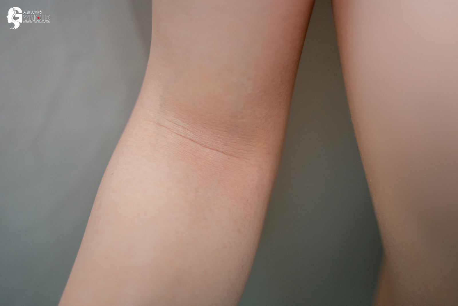 Sex doll Leyla Model 19R Deluxe (Gynoid Doll 168cm F-cup silicone)