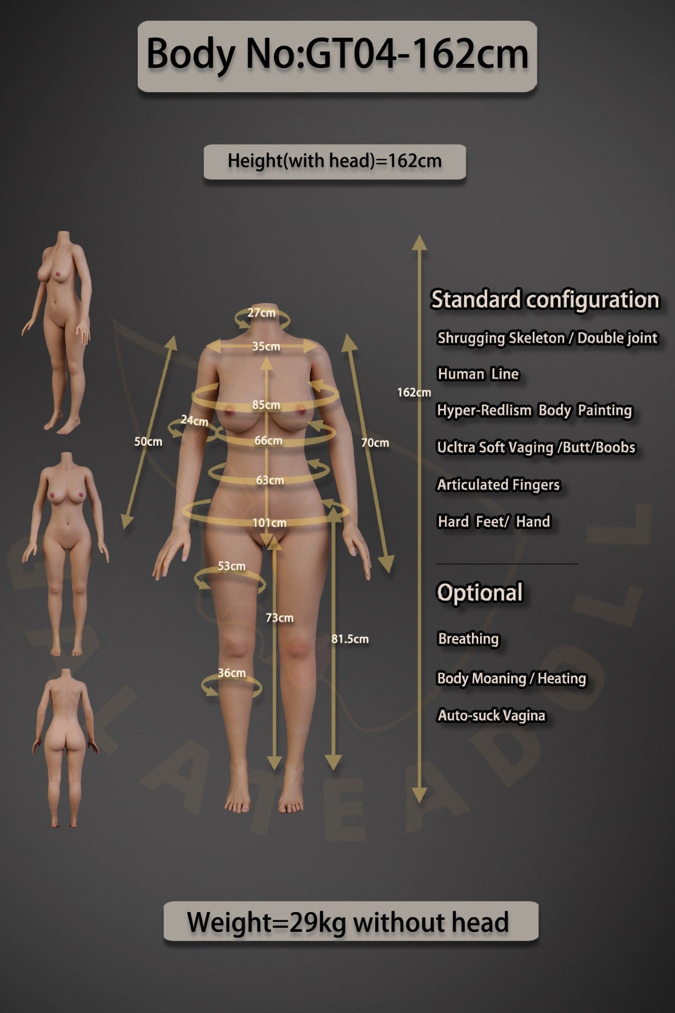 Αλεξάνδρα σεξ κούκλα (Galatea Doll 162cm C-Cup #043 Σιλικόνη)