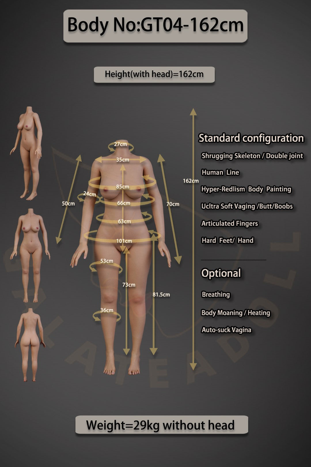 Ντενίζ σεξ κούκλα (Galatea Doll 162cm C-Cup #062 Σιλικόνη)