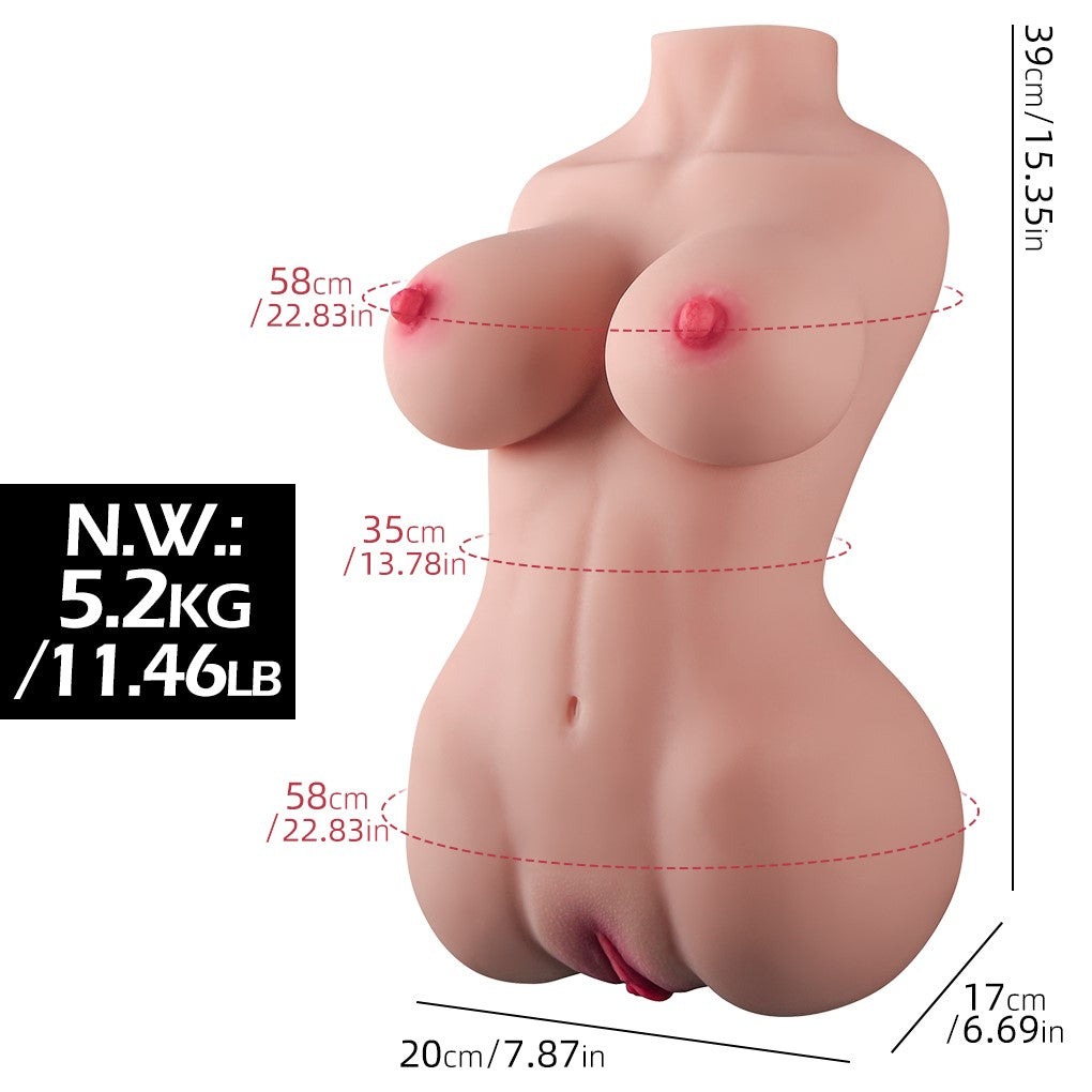 Torso curvy (EL-Doll 39cm D-cup Tpe) EXPRESS