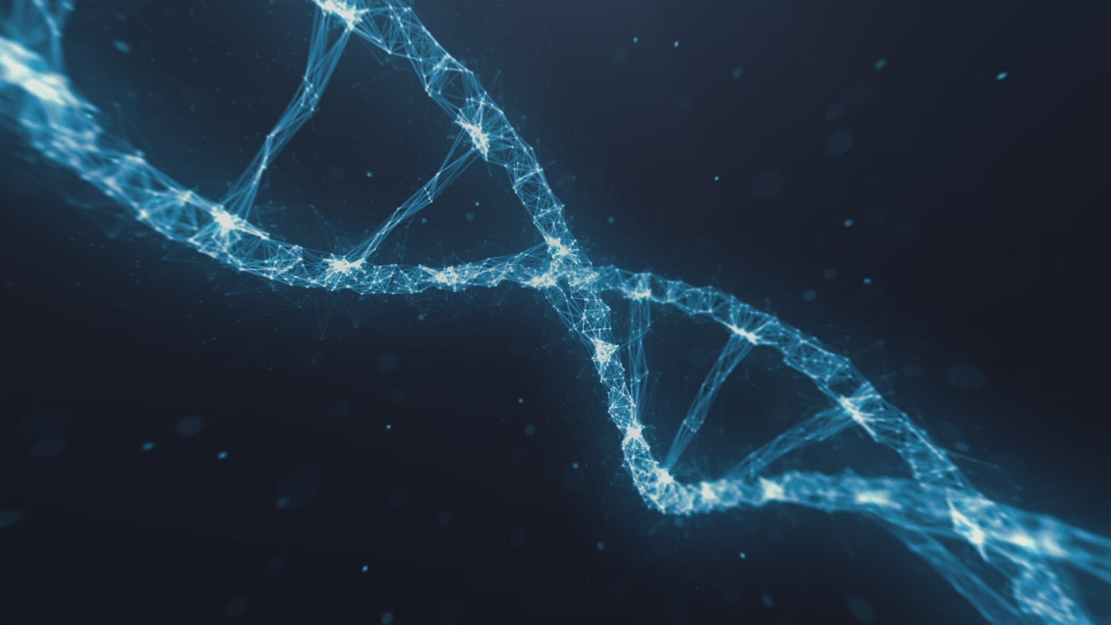 Miyuki Sex doll (XT Doll 163cm F-cup #XT-byb17-B silicone)