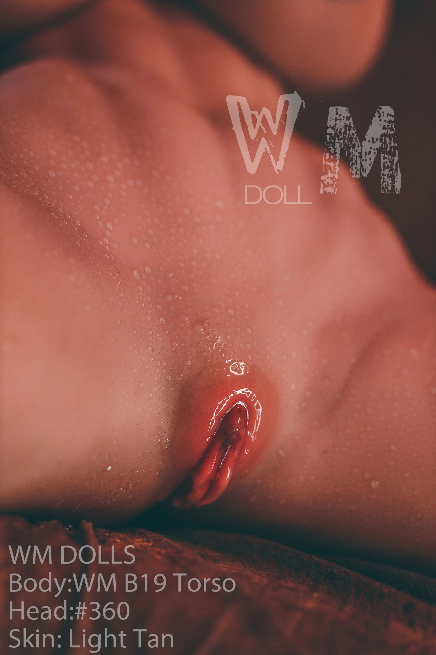 Κούκλα sex brandy (WM-Doll Torso B19 89cm J-Cup #360 TPE)
