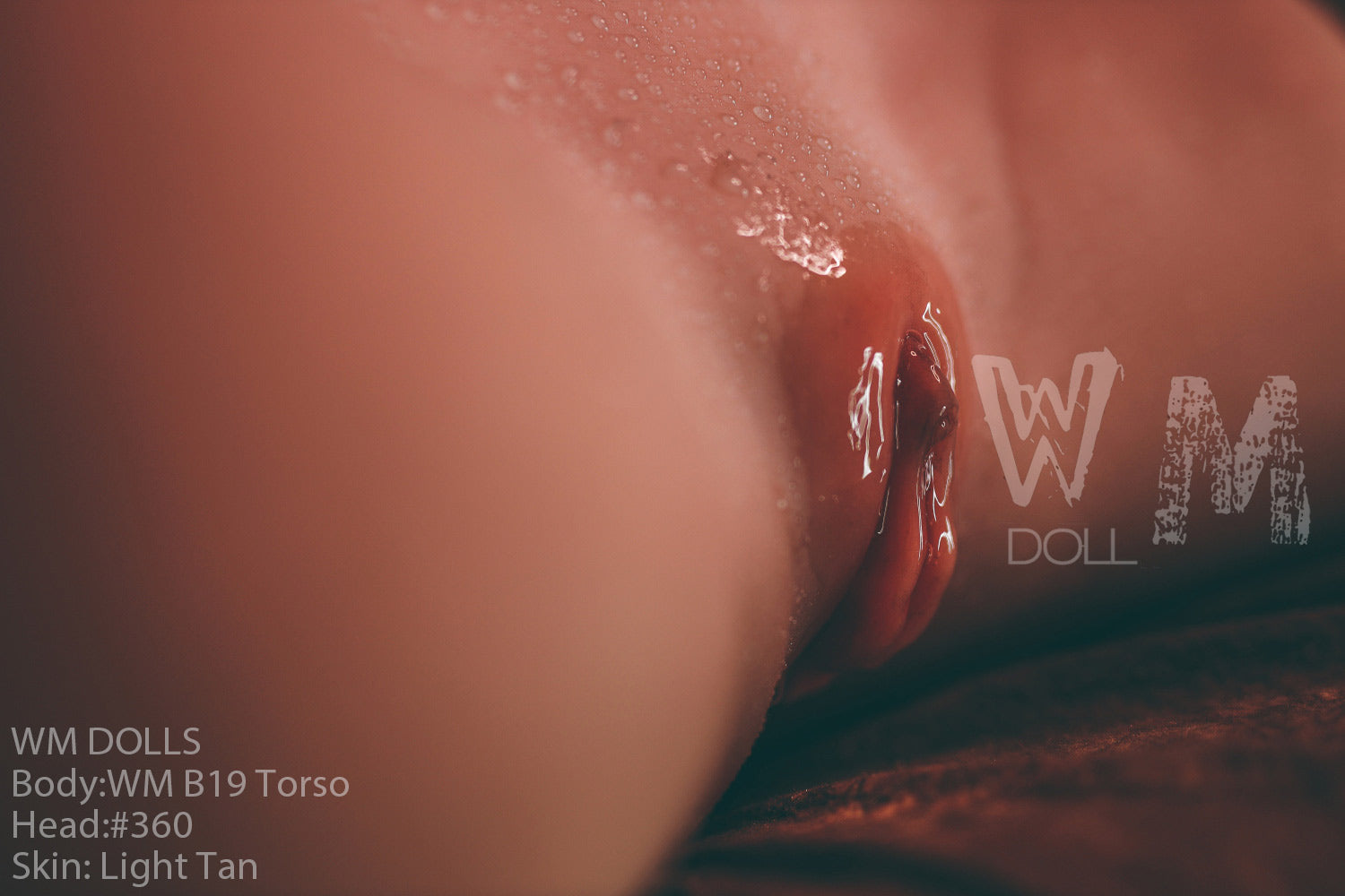 Κούκλα sex brandy (WM-Doll Torso B19 89cm J-Cup #360 TPE)